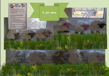 Messenger_creation_D02C1E00-D797-4515-BD58-D606B1EC2A6E.jpeg