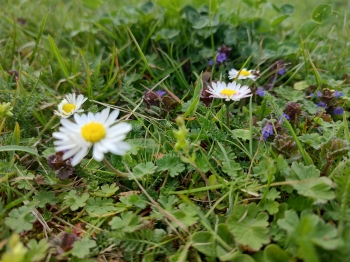 IMG_20250416_144943946_HDR