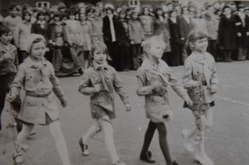 5ff0a8fc08060_o_xlarge