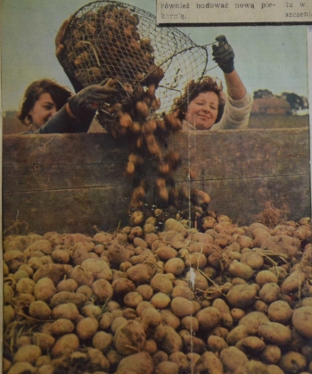 5ff0a8c6111f7_o_xlarge