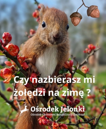 WhatsApp Image 2025-11-02 at 18.00.56 (2).jpeg