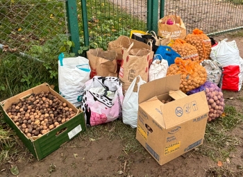 WhatsApp Image 2025-11-02 at 18.00.56.jpeg