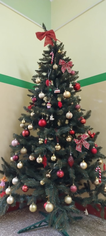 WhatsApp Image 2025-12-17 at 15.57.22.jpeg