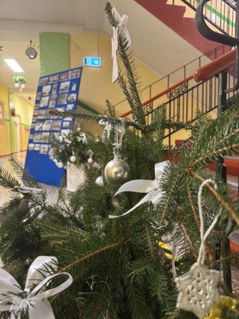 WhatsApp Image 2025-12-17 at 16.02.59.jpeg