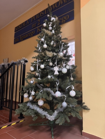 WhatsApp Image 2025-12-17 at 16.02.57.jpeg