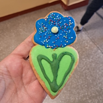 WhatsApp Image 2026-03-06 at 16.50.23 (1).jpeg