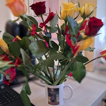 WhatsApp Image 2026-03-06 at 16.50.23 (2).jpeg