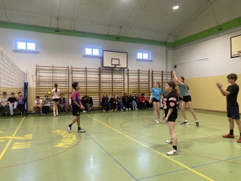 IMG_2279 (1).jpeg