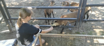 Messenger_creation_D03CCF05-996D-4231-A66F-49715CA1E526.jpeg