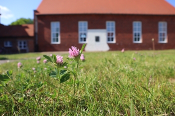IMG_0022.JPG