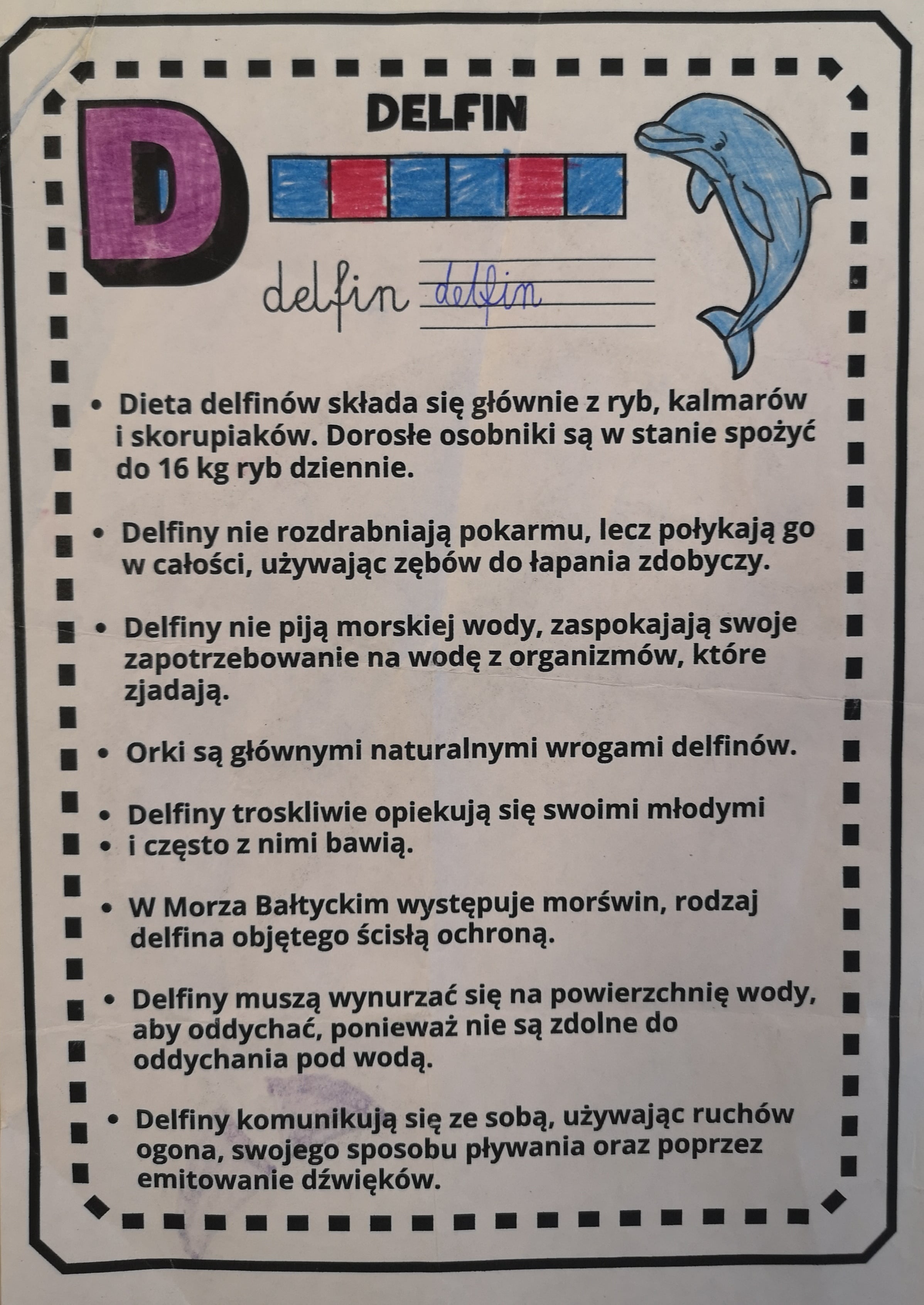 Czas na Dobrą pracę z Delfinem 