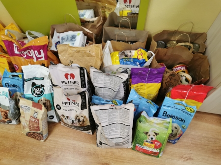 Szkolny Klub Wolontariatu MITRA podsumował zbiórkę karmy dla bezdomnych psów i kotów.
