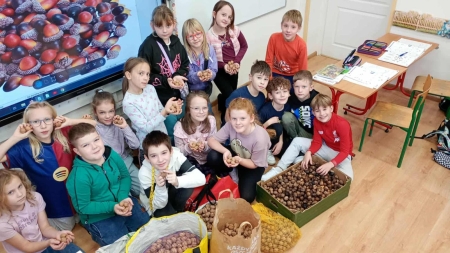 Posumowanie zbiórki żołędzi i orzechów dla Ośrodka Okresowej Rehabilitacji Zwier...