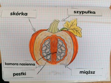 Dynia królowa jesieni 