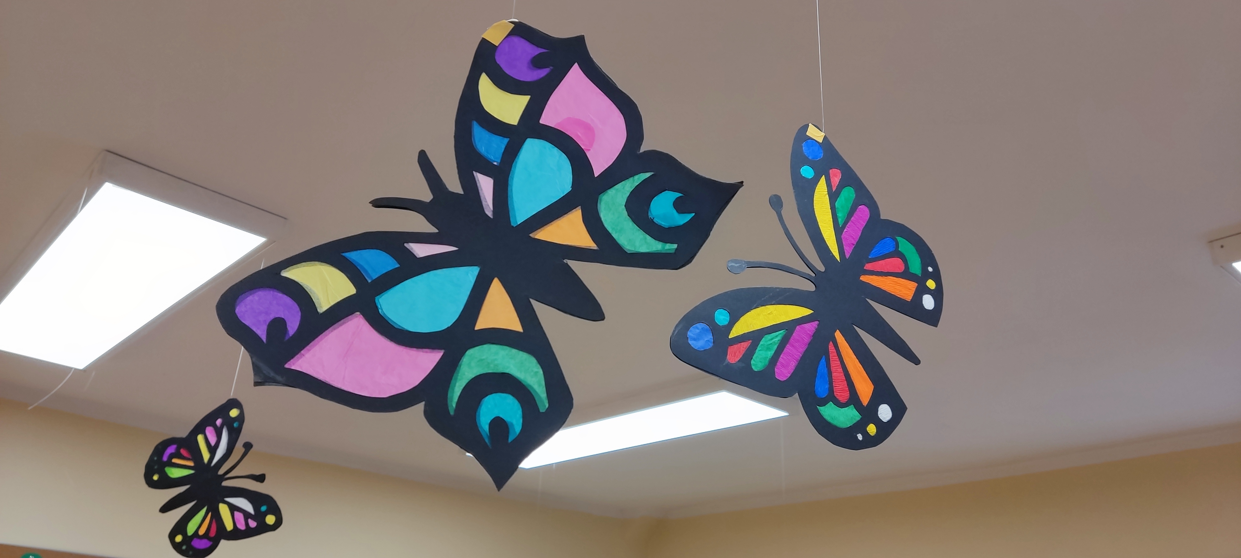 Jakie to szczęście, że w naszej Szkole są motyle!
